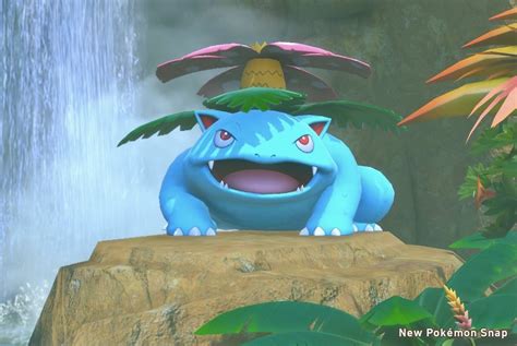 best nature venusaur.